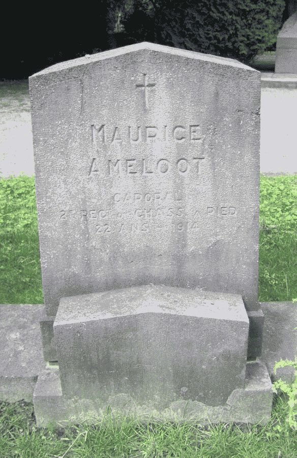 Ameloot Maurice

